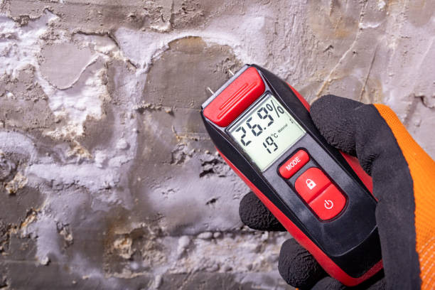 Best Commercial Mold Removal  in Middletown, KY