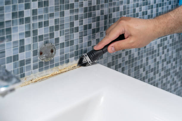 Best Mold Remediation  in Middletown, KY